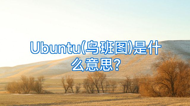 Ubuntu(乌班图)是什么意思?