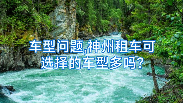车型问题,神州租车可选择的车型多吗?