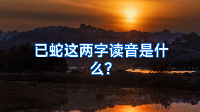 已蛇这两字读音是什么?