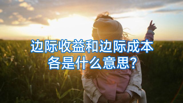 边际收益和边际成本各是什么意思?