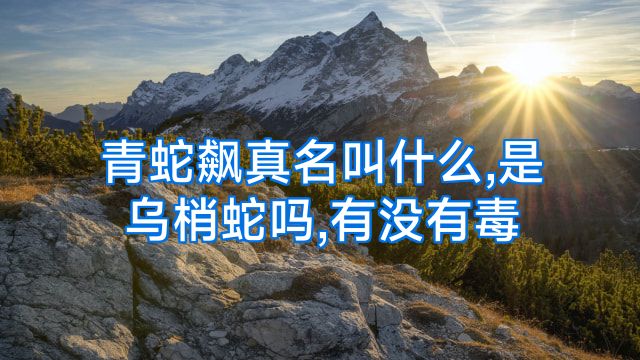 青蛇飙真名叫什么,是乌梢蛇吗,有没有毒