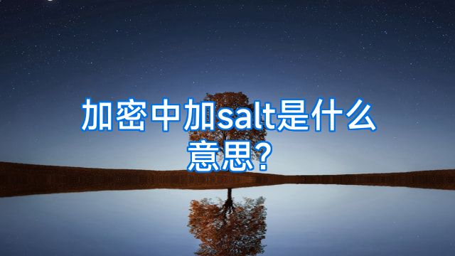 加密中加salt是什么意思?
