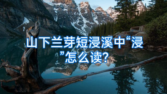 山下兰芽短浸溪中“浸”怎么读?