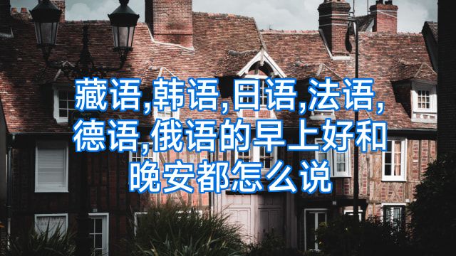 藏语,韩语,日语,法语,德语,俄语的早上好和晚安都怎么说