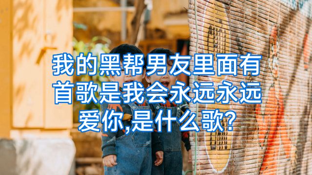 我的黑帮男友里面有首歌是我会永远永远爱你,是什么歌?