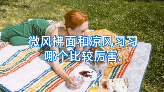 微风拂面和凉风习习哪个比较厉害.