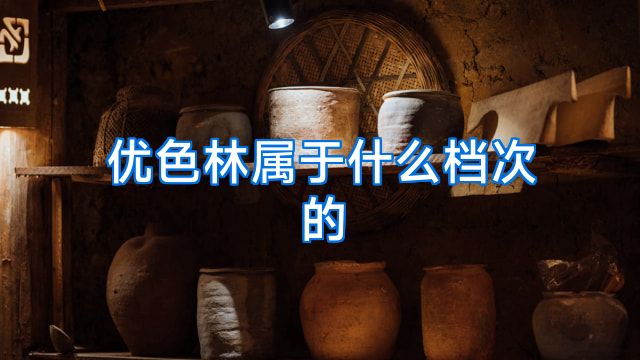 优色林属于什么档次的
