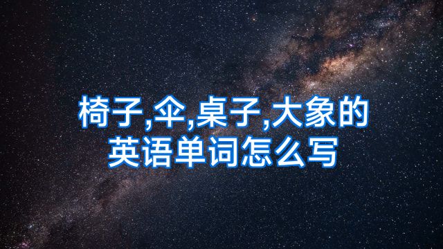 椅子,伞,桌子,大象的英语单词怎么写