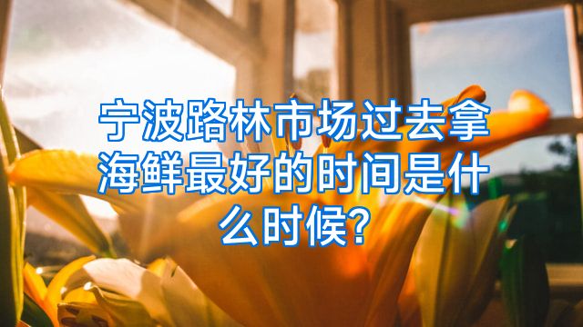 宁波路林市场过去拿海鲜最好的时间是什么时候?
