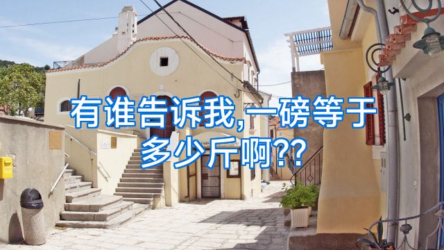有谁告诉我,一磅等于多少斤啊??