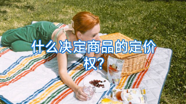 什么决定商品的定价权?
