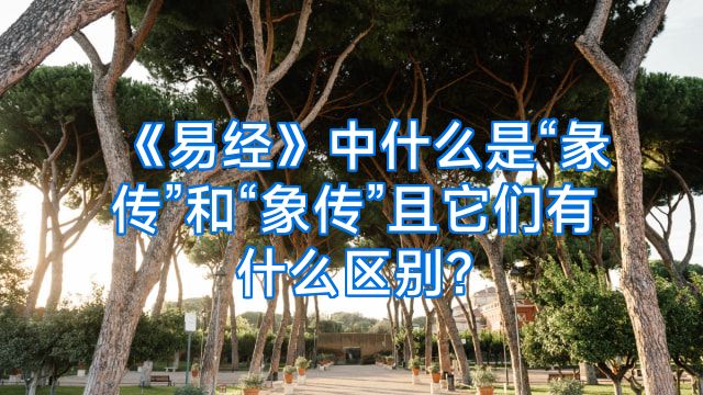 《易经》中什么是“彖传”和“象传”且它们有什么区别?