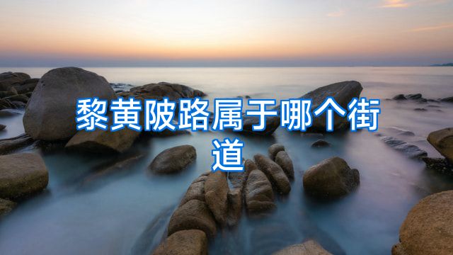 黎黄陂路属于哪个街道