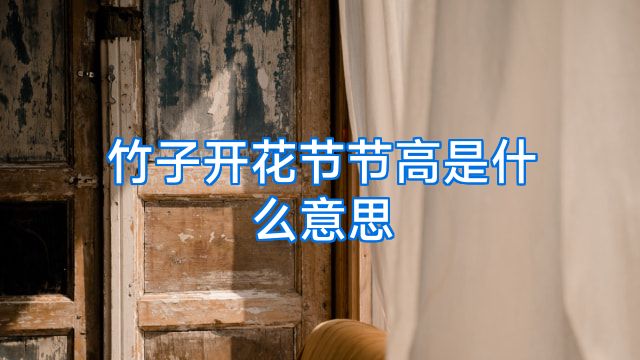 竹子开花节节高是什么意思