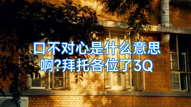 口不对心是什么意思啊?拜托各位了3Q