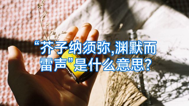 “芥子纳须弥,渊默而雷声”是什么意思?