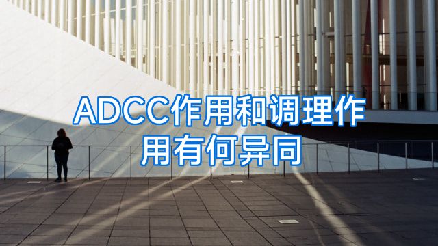 ADCC作用和调理作用有何异同