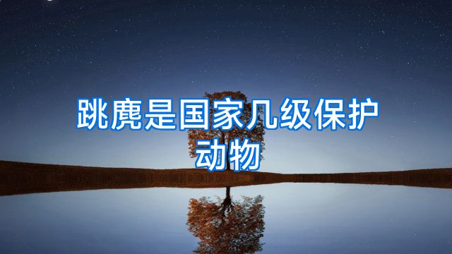跳麂是国家几级保护动物