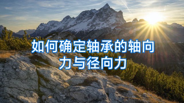 如何确定轴承的轴向力与径向力
