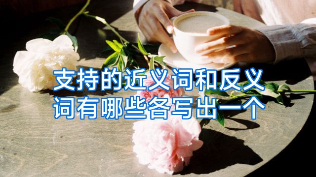 支持的近义词和反义词有哪些各写出一个