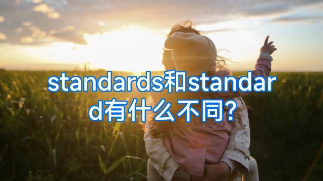 standards和standard有什么不同?