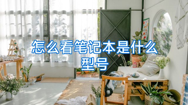 怎么看笔记本是什么型号