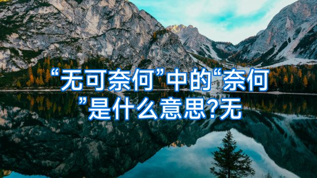 “无可奈何”中的“奈何”是什么意思?无