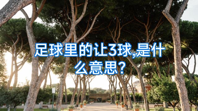 足球里的让3球,是什么意思?