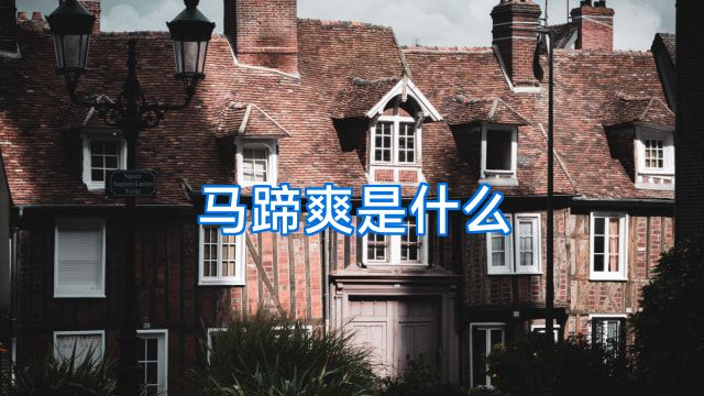 马蹄爽是什么