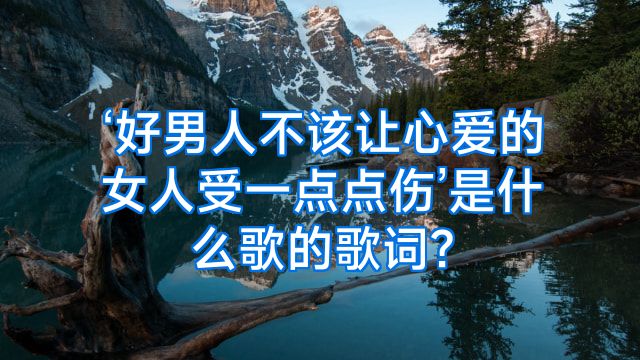 ‘好男人不该让心爱的女人受一点点伤’是什么歌的歌词?