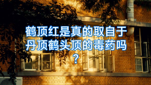 鹤顶红是真的取自于丹顶鹤头顶的毒药吗?
