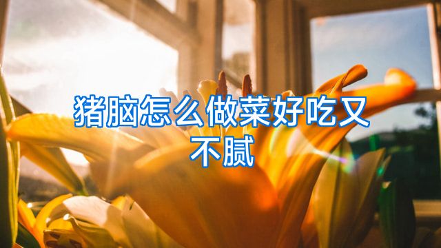 猪脑怎么做菜好吃又不腻
