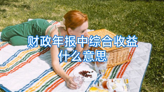 财政年报中综合收益什么意思