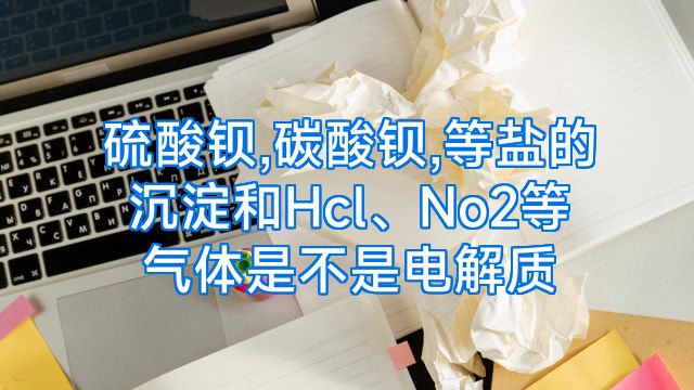 硫酸钡,碳酸钡,等盐的沉淀和Hcl、No2等气体是不是电解质