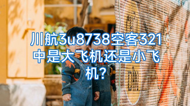 川航3u8738空客321中是大飞机还是小飞机?