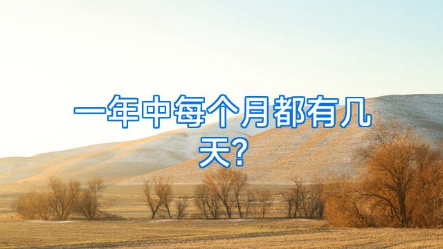 一年中每个月都有几天?