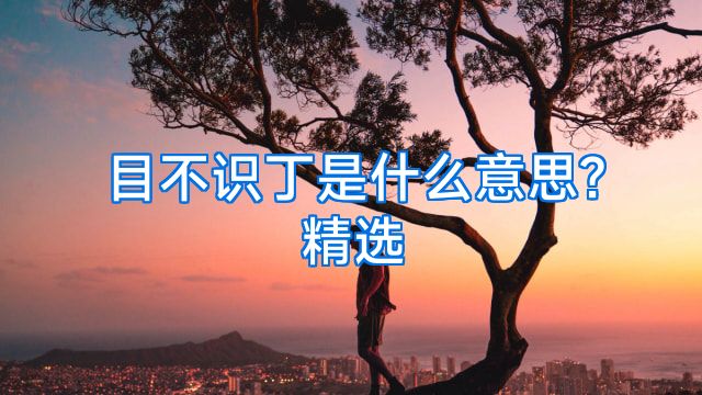 目不识丁是什么意思?精选