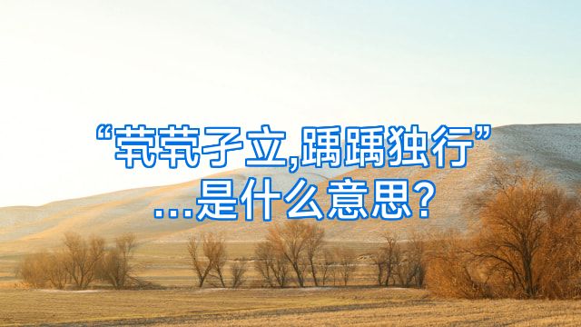 “茕茕孑立,踽踽独行”…是什么意思?