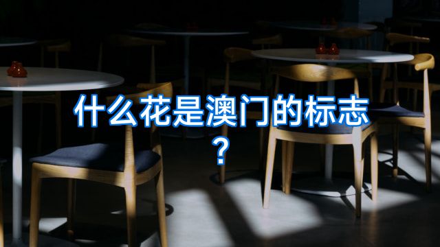 什么花是澳门的标志?