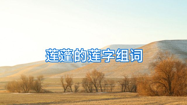 莲蓬的莲字组词