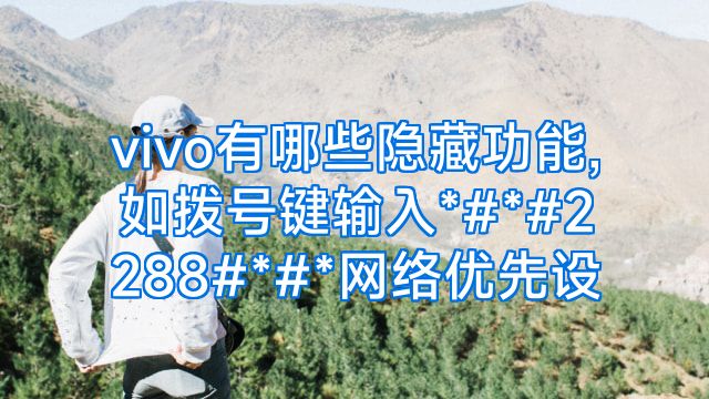 vivo有哪些隐藏功能,如拨号键输入*#*#2288#*#*网络优先设