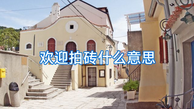 欢迎拍砖什么意思