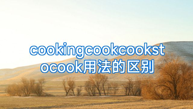 cookingcookcookstocook用法的区别