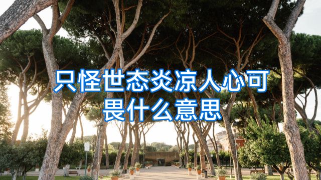 只怪世态炎凉人心可畏什么意思