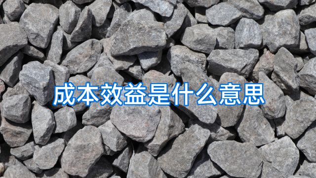 成本效益是什么意思