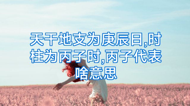 天干地支为庚辰日,时柱为丙子时,丙子代表啥意思