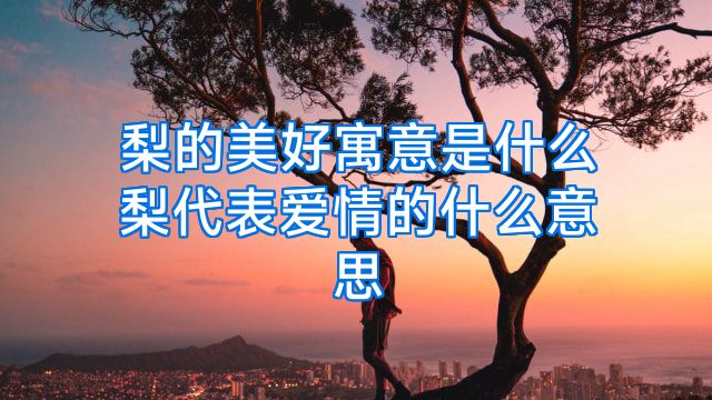 梨的美好寓意是什么梨代表爱情的什么意思