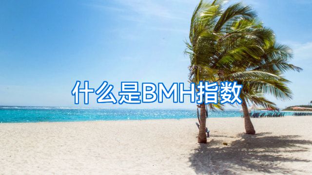 什么是BMH指数