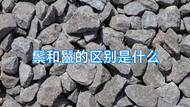 鬃和鬣的区别是什么
