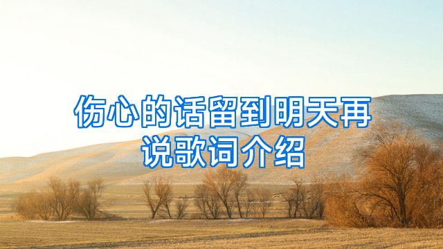 伤心的话留到明天再说歌词介绍